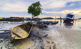 The Great Economic Loss: The Price to Pay if the Coral Triangle Collapses